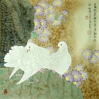 Chinese Pigeon Painting,50cm x 50cm,2414004-x