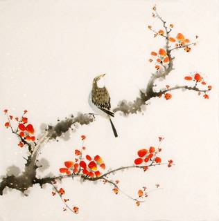 Chinese Plum Blossom Painting,50cm x 50cm,2340049-x