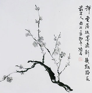 Chinese Plum Blossom Painting,50cm x 50cm,2407026-x