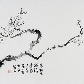 Chinese Plum Blossom Painting,50cm x 50cm,2407058-x