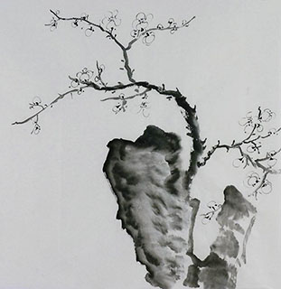 Chinese Plum Blossom Painting,50cm x 50cm,2407080-x
