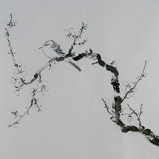 Chinese Plum Blossom Painting,50cm x 50cm,2407092-x