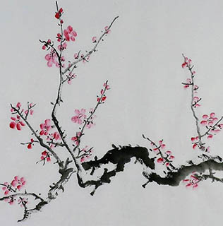 Chinese Plum Blossom Painting,50cm x 50cm,2407095-x