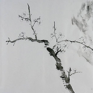 Chinese Plum Blossom Painting,50cm x 50cm,2407098-x