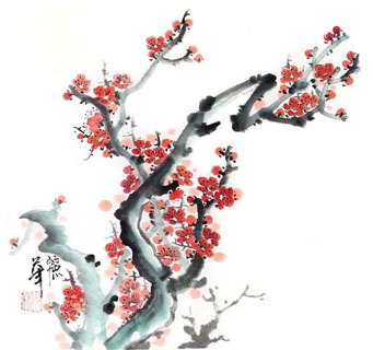 Chinese Plum Blossom Painting,33cm x 33cm,2485025-x