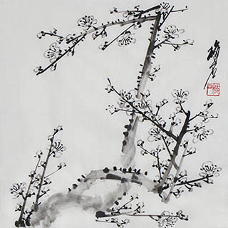 Chinese Plum Blossom Painting,34cm x 34cm,ms21139025-x