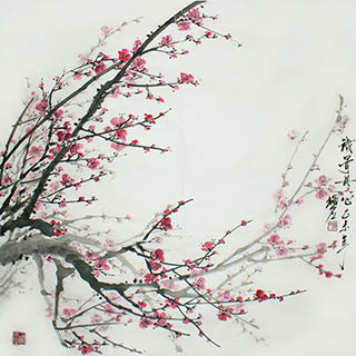 Chinese Plum Blossom Painting,69cm x 69cm,ms21139034-x