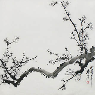 Chinese Plum Blossom Painting,69cm x 69cm,ms21139041-x