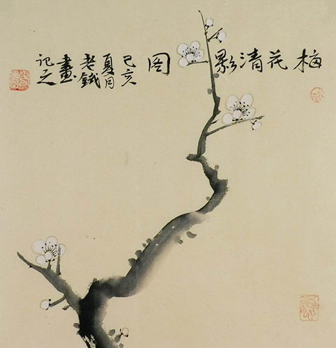 Plum Blossom,34cm x 34cm(13〃 x 13〃),tl21140017-z