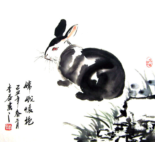 Rabbit,50cm x 50cm(19〃 x 19〃),4326014-z