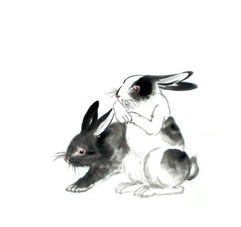 Chinese Rabbit Painting,50cm x 50cm,4326015-x