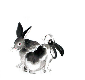 Chinese Rabbit Painting,50cm x 50cm,4326017-x