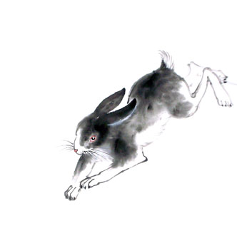 Chinese Rabbit Painting,50cm x 50cm,4326018-x