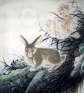 Chinese Rabbit Painting,50cm x 55cm,4620011-x
