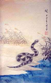 Chinese Snake Painting,43cm x 65cm,4349001-x