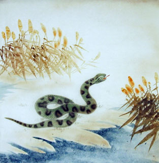 Chinese Snake Painting,66cm x 66cm,4349007-x