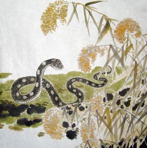 Snake,50cm x 50cm(19〃 x 19〃),4449034-z