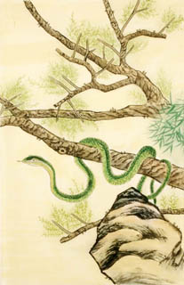 Chinese Snake Painting,69cm x 46cm,4617004-x