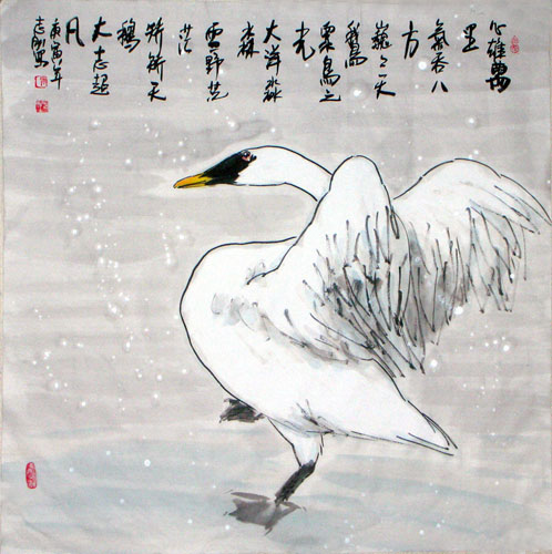 Swan,69cm x 69cm(27〃 x 27〃),2360073-z
