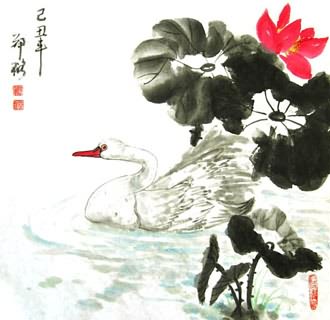 Chinese Swan Painting,50cm x 50cm,2517003-x