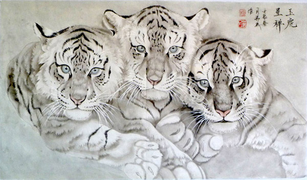 Tiger,51cm x 92cm(20〃 x 36〃),4695021-z