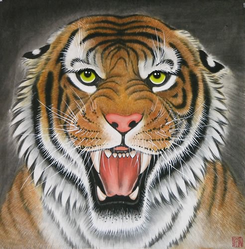 Tiger,66cm x 66cm(26〃 x 26〃),4707003-z